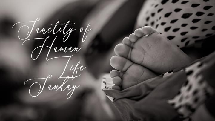 January 22 – Sanctity of Human Life Sunday